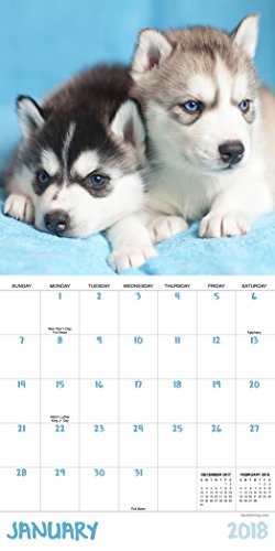 2018 Puppies Mini Calendar
