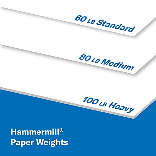 Hammermill Cardstock, Premium Color Copy, 100 lb, 19 x 13-3 Pack (750 Sheets) - 100 Bright, Made in the USA Card Stock, 133242C, White