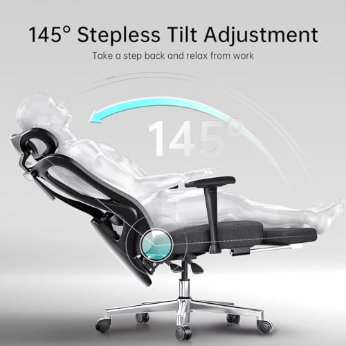 Hbada Ergonomic Office Chair with 2D Adjustable Armrest, Lumbar Support, Tilt Function, Footrest - Black