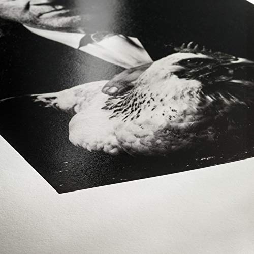 Hahnemuhle Photo Rag Baryta 315, 100% Cotton High Gloss, Natural White Inkjet Paper, 315gsm, 44"x39' Roll, 3" Core