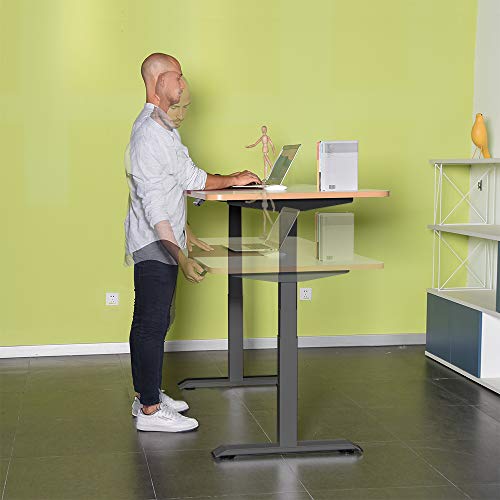 Fromann Electric 3 Tier Legs Dual Motor Desk Base - Sit Stand up Standing Height Adjustable Desk Frame with USB Handset for Home and Office