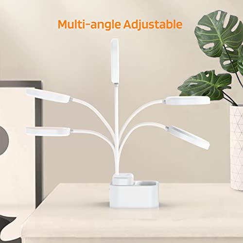 Desk Lamp Battery Operated White Rechargeable Study Table Lamp