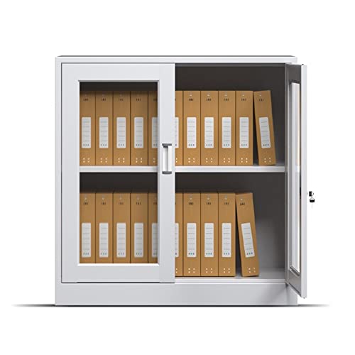 EDWAL Vertical Storage Filing Cabinet with Lock, Metal, Visible Doors, A4/Letter Sized Documents