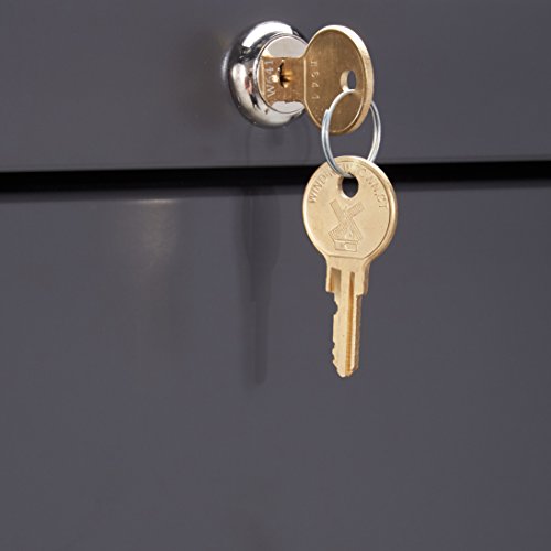 Lorell LLR60434 Lateral File