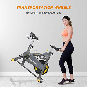 VIGBODY Exercise Bikes Stationary Bike With Adjustable Magnetic Resistance Belt Drive Bicycle With Comfortable Seat Cushion (Gray)