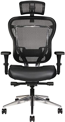 Oak Hollow Furniture Aloria Series Ergonomic Executive Office Chair Genuine Leather Seat Cushion Mesh Back Adjustable Lumbar Support Swivel Tilt High-Back (Black, Tall, Headrest)