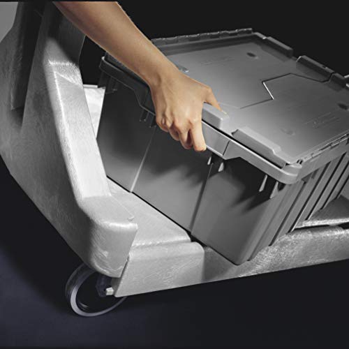 Akro-Mils ProCart Heavy Duty 2 Tier Rolling Utility Cart, 400 lb Capacity, Gray
