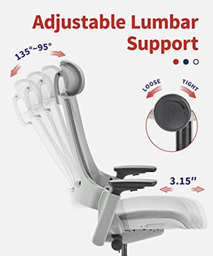 CLATINA Ergonomic High Swivel Executive Chair with Adjustable Height Headrest, 3D Armrest, Lumbar Support, Gray Mesh/High Back