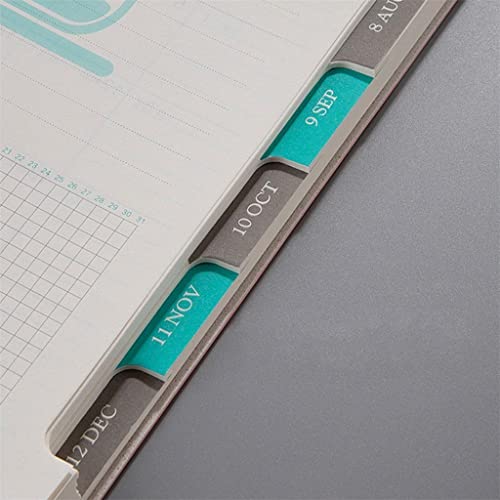 YFQHDD Time Management Schedule Book 2022 Color Calendar Dates Table Coil Planner Reminder Timetable Desk A5 Notebook (Color : A, Size : A5)