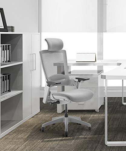 CLATINA Ergonomic High Swivel Executive Chair with Adjustable Height Headrest, 3D Armrest, Lumbar Support, Gray Mesh/High Back