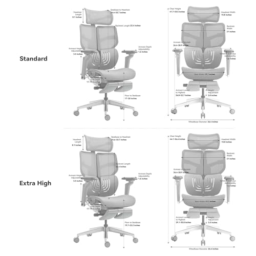 HINOMI X1 High Back Ergonomic Office Chair with Leg Rest, 6D Armrest, 4 Panel Backrest - Black