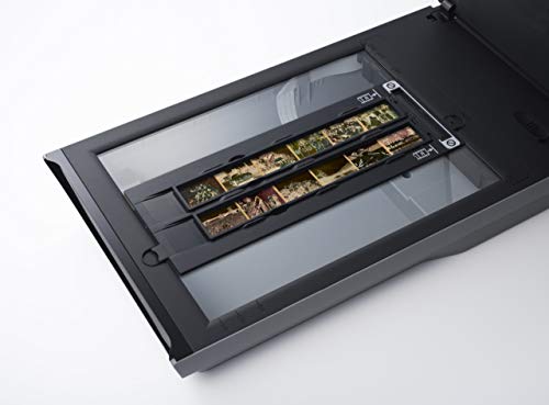Canon CanoScan 9000F MKII Flatbed Scanner (Renewed)