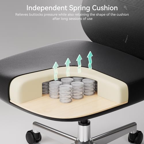 Hbada Ergonomic Office Chair with Adjustable Lumbar Support, Height, Footrest, 2D Headrest - Black