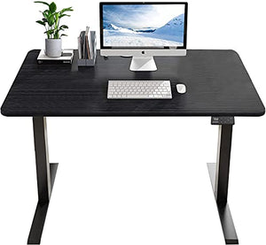 MAIDeSITe Electric Height Adjustable Standing Desk，48X24 Inches Sit Stand Table，Home Office Stand up Workstation with 4 Memory Controller