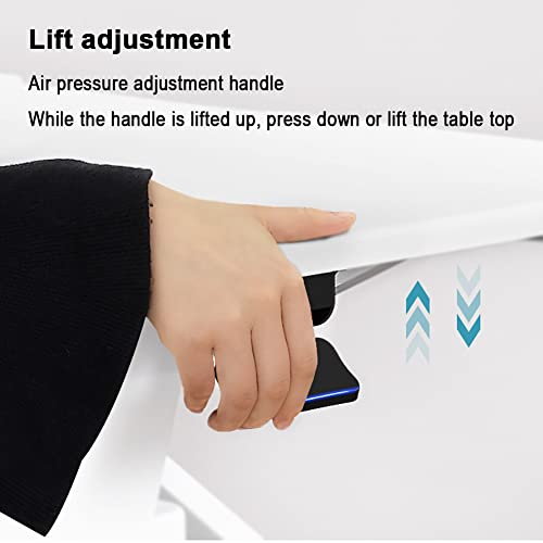 JW-YZJW Height Adjustable Stand Up Desk Converter, Black