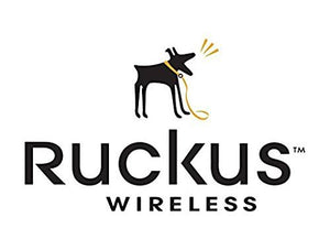 Ruckus Wireless SMARTZONE 100 Controller with 4XGE Ports - US and Canada (P01-S104-UN00)