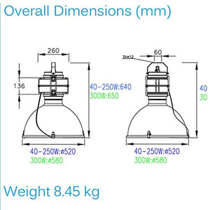 LDV High Bay LIGHT Circular 250W Iduction Lamp Tube Industrial Suspension 4000k