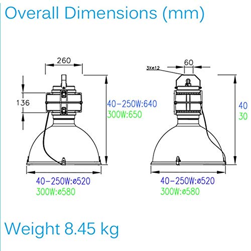 LDV High Bay LIGHT Circular 250W Iduction Lamp Tube Industrial Suspension 4000k