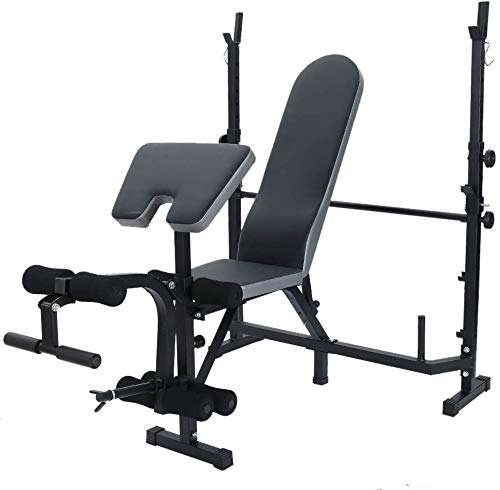 DLWDMRV Professional equipment auxiliary dumbbell bench Weight Benches, Multifunctional Strength Training Benches Workout Station Adjustable Dumbbell Weightlifting Bench with Preacher Curl Leg Develop