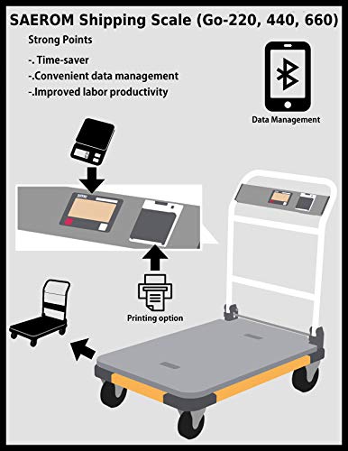 SAEROM® Shipping Scale 660lb x 0.1lb with Printer and USB Port