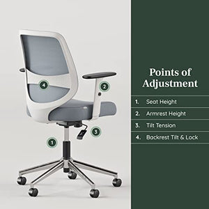 Branch Daily Chair - Sustainable Mesh Office Chair with Swivel, Lumbar Rest, Adjustable Armrests - Slate-White
