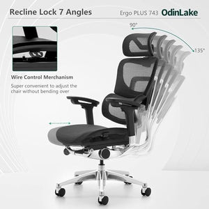 Loniko 743-Plus Big & Tall Ergonomic Office Chair with Lumbar Support, Headrest, and Footrest