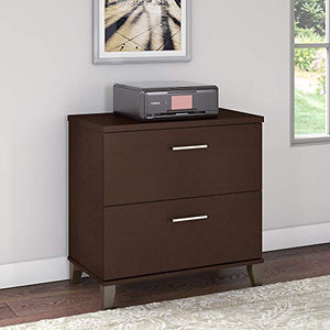 Bush Furniture Somerset 2 Drawer Lateral File Cabinet in Mocha Cherry | Home Office Document Storage