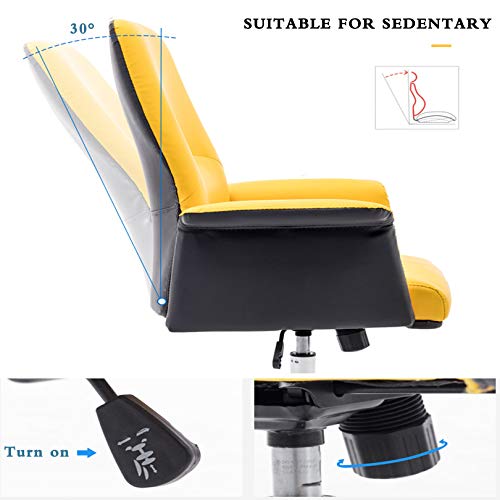 PENGJIE Ergonomic Swivel Office Chair Liftable Ergonomic Computer Chair Home Rotating Office Chair Student Dormitory Study Sofa Chair Desk Chair,68 X 47 X 110 cm Easy to Assemble