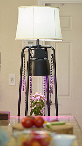 Catalina Lighting Glo Gro 45-Watt LED Grow Light, Étagère Floor Lamp with Adjustable Plant Housing and Integrated Timer, Black, 20745-000