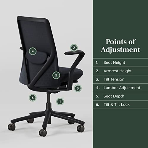 Branch Verve Chair - High Performance Executive Office Chair with Adjustable Lumbar Support - High Density Foam Cushion - Aluminum Base - Galaxy - Up to 275 lbs