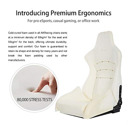 AKRacing Masters Series Premium Gaming Chair with High Backrest, Recliner, Swivel, Tilt, 4D Armrests, Rocker and Seat Height Adjustment Mechanisms with 5/10 Warranty - Silver