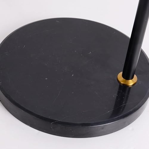 EESHHA Floor Lamp Black Standing Lamp (D)
