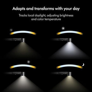 Dyson Solarcycle Morph™ Desk Light CD06