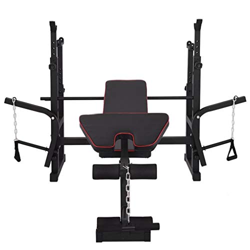 QAZQ Olympic Standard Weight Bench Press Bench with Squat Rack Stand, Leg Developer Extension, Preacher Curl, Barbell Dumbell Pad, for Strength Training Weightlifting Sit up Board Workout Station