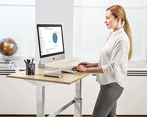 FENGE Electric Stand Up Desk 43x24 Inches Height Adjustable Standing Desk Home Office Table Computer Desk Light Wood ED-S48106WO