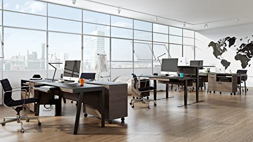 BDI Furniture Sigma Multifunction Cabinet - Sepia