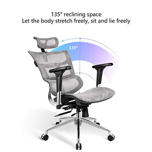 LYLY Ergonomic Reclining Office Chair with Double Back Waist Support (Nylon feet)