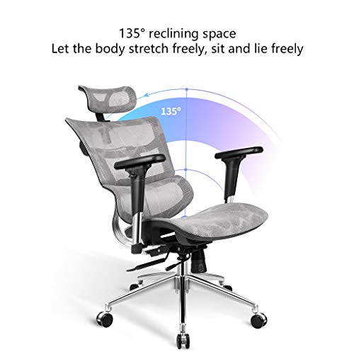 LYLY Ergonomic Reclining Office Chair with Double Back Waist Support (Nylon feet)