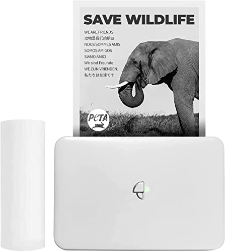 Portable Travel Printer-Wireless Thermal Printer Compatible with iOS Android Window for Printing Sticker, Logo,Label,Receipt,Photo,300dpi Grayscale Printing Mode