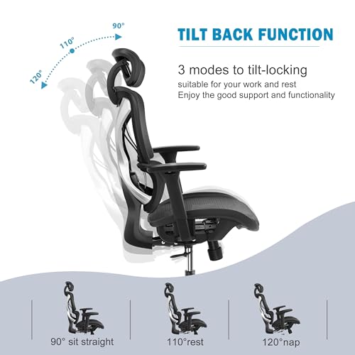 GABRYLLY Ergonomic Office Chair with Lumbar Support, Adjustable 3D Arms, Reclining, Headrest & Large Seat - Grey