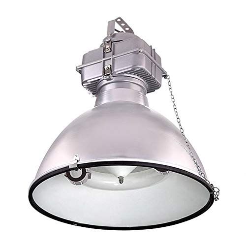 LDV High Bay LIGHT Circular 250W Iduction Lamp Tube Industrial Suspension 4000k