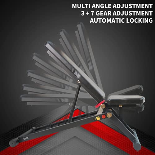 DHT Foldable Weight Bench, Adjustable Strength Training Bench for Full Body, Workout Fast Folding Bench for Home, Gym