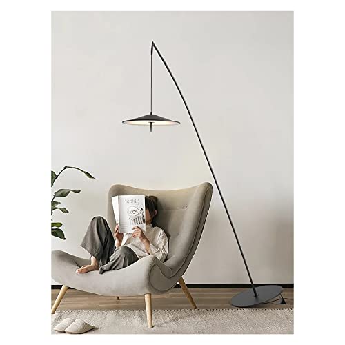 WAOCEO Modern Rustic Black Floor Lamp - Tumbler Design - Living Room Display