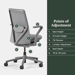 Branch Verve Chair - High Performance Executive Office Chair with Adjustable Lumbar Support - Lunar