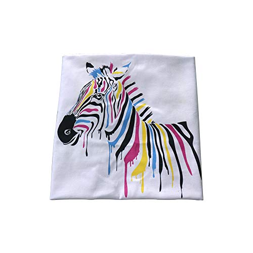 A4 DTG T-Shirt Printing Machine Dark/Light Tshirt Printer 110v or 220v