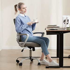 Sweetcrispy Ergonomic Office Computer Desk Chair with Lumbar Support, Grey