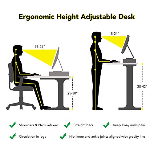 Flexispot EN1 Primo Electric Standing Desk Adjustable Height Desk for Home Office Computer Workstation, Whole Piece Walnut Desktop with Gray Leg, 48x30INCH