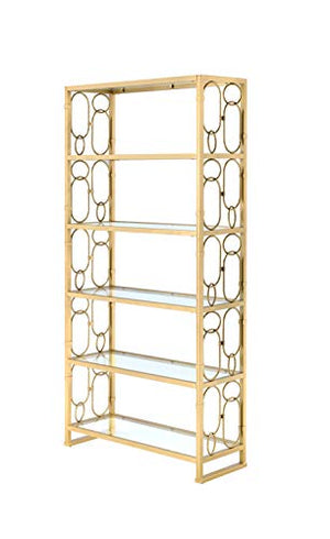 HomeRoots Bookcase in Clear Glass and Gold - Glass, Metal Clear Glass and Gold