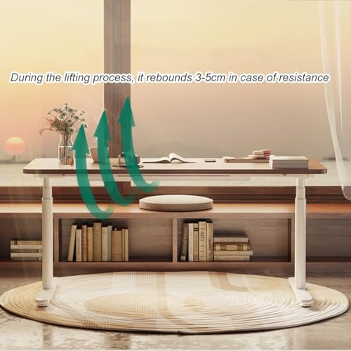 SanzIa Electric Sit Stand Desk, Height Adjustable Standing Desk, Dual Motor, Memory Presets, USB & Child Lock - Style 2, 120 * 60 * 61-126cm