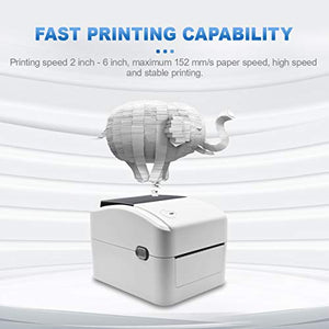 Thermal Shipping Label Printer with 2100 Labels, Support Amazon Ebay PayPal Etsy Shopify Shipstation Ups USPS FedEx DHL On Windows & Mac, Roll Fanfold Direct, Label 4x6 with 350 Labels x 6 Rolls